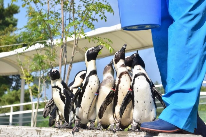 🐬 마린월드 우미노나카미치 이미지 5